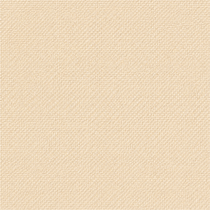 Champagne · Champagne
